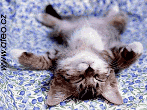 11758818.gif