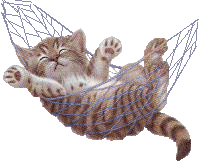 11758768.gif